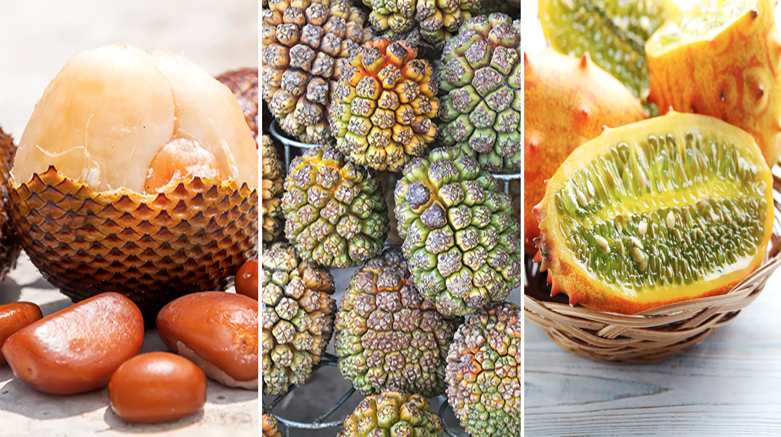 50 Rarest Fruits In The World You’ve Never Heard Of [With Pics]