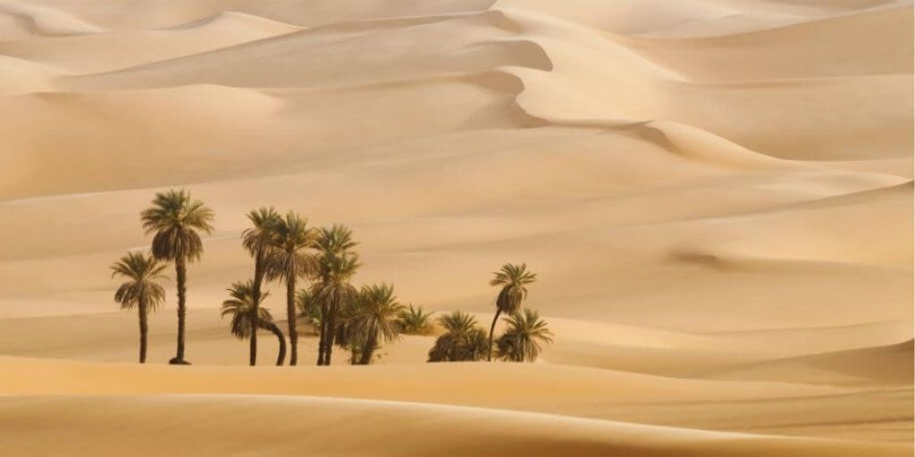 15 Worlds Largest Deserts - The Deserts That Define Our Planet
