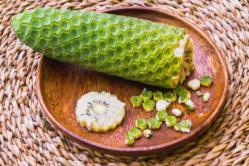 Monstera Deliciosa