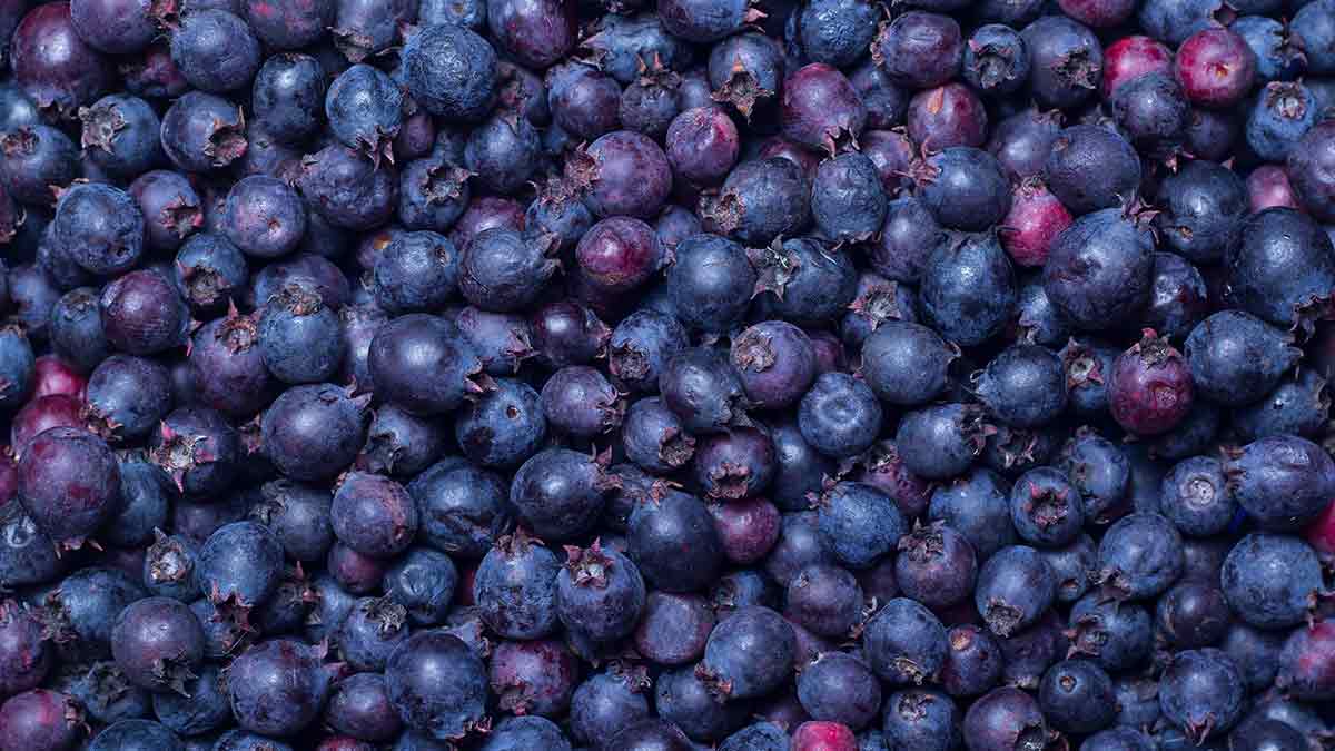 Berries