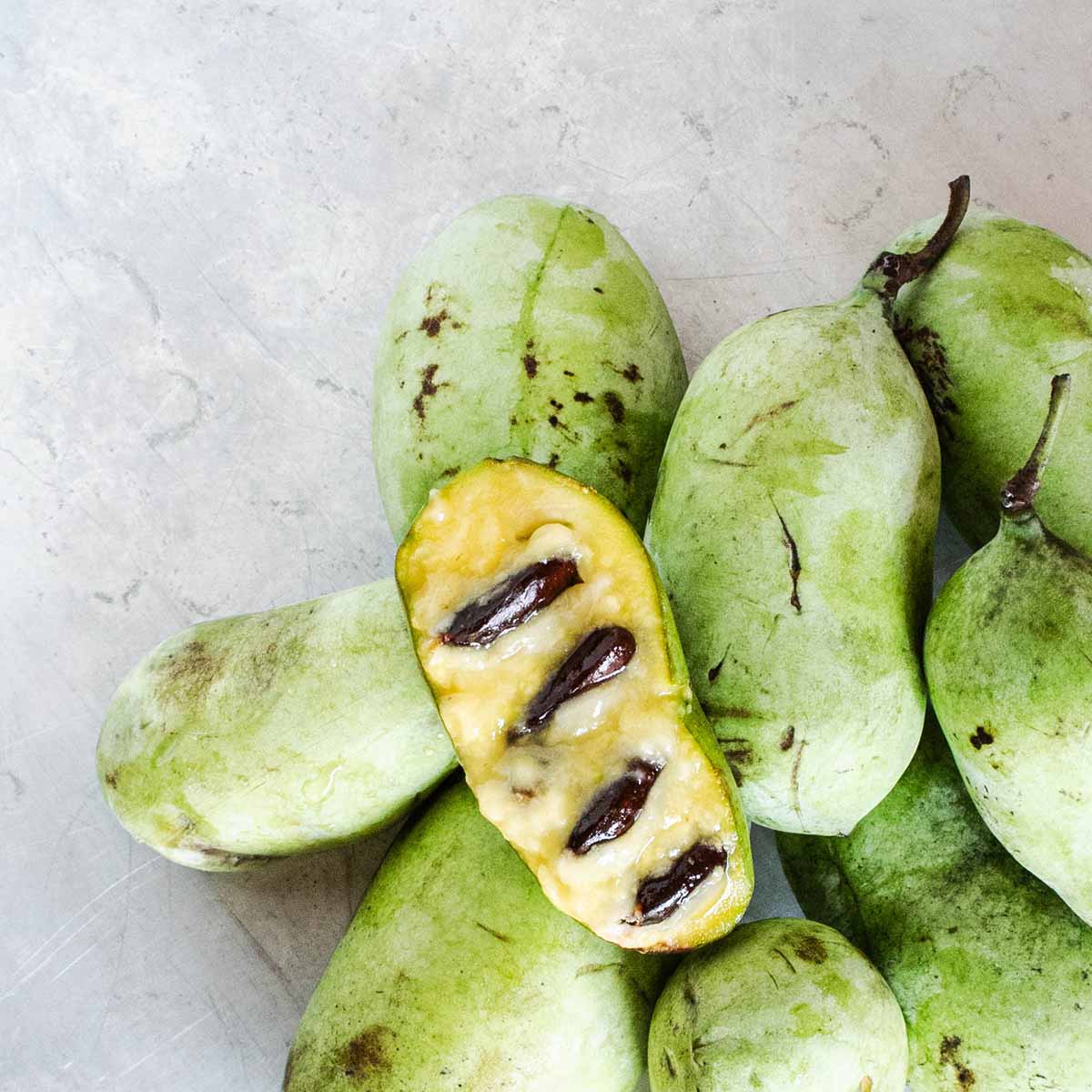 Pawpaw
