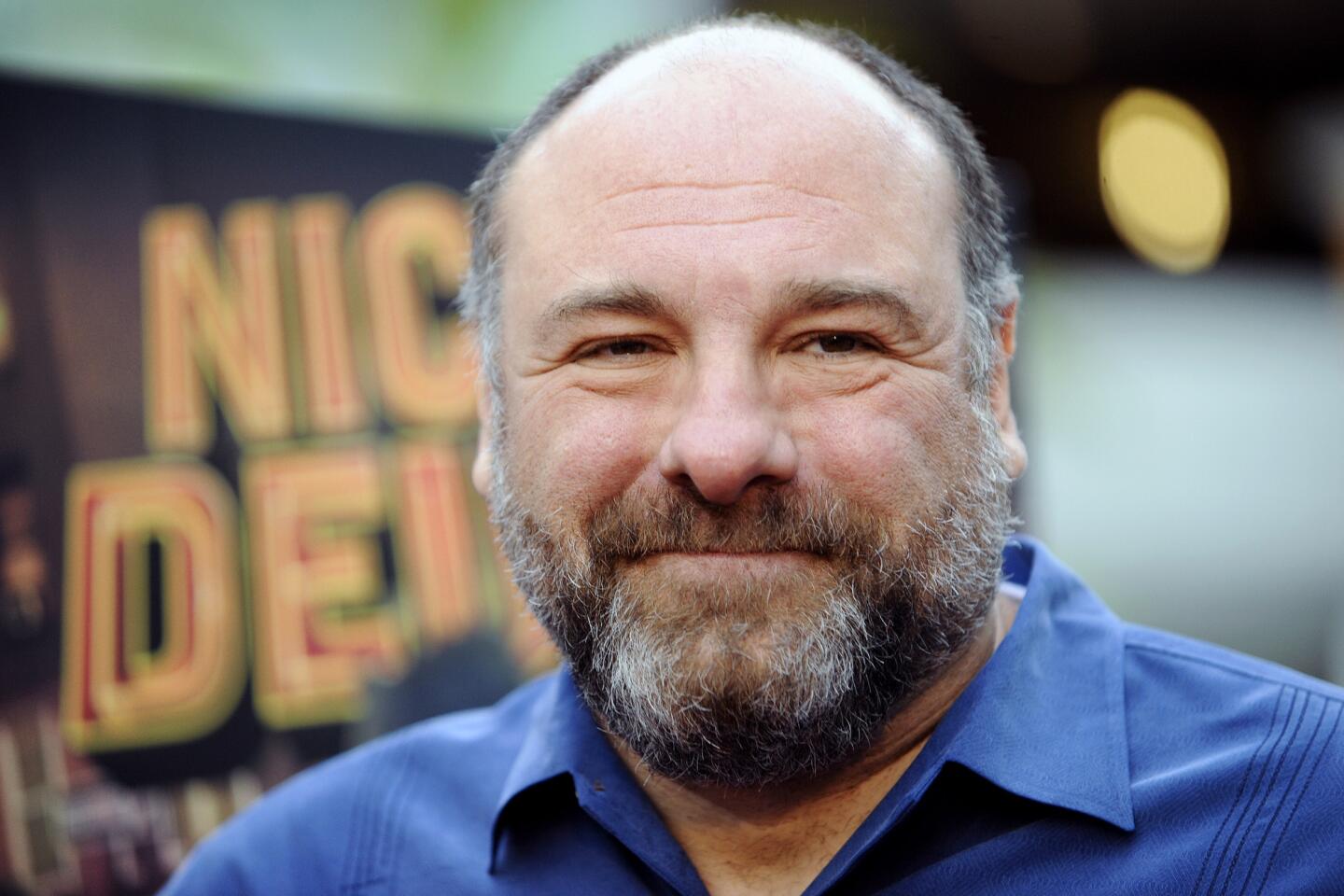 James Gandolfini wearing a blue shirt with gray hair smiling